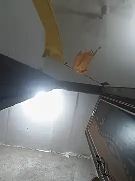 Neha-ji webcam