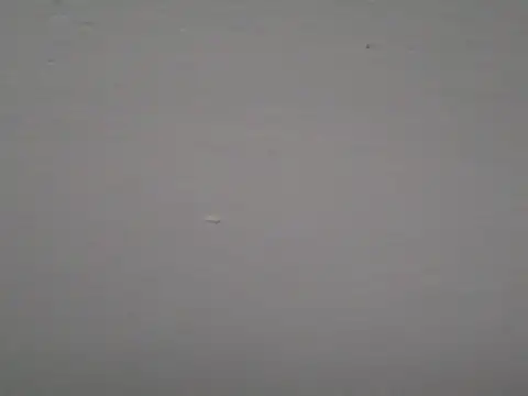 kristall1234 webcam