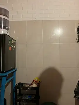 Starly_Vega webcam