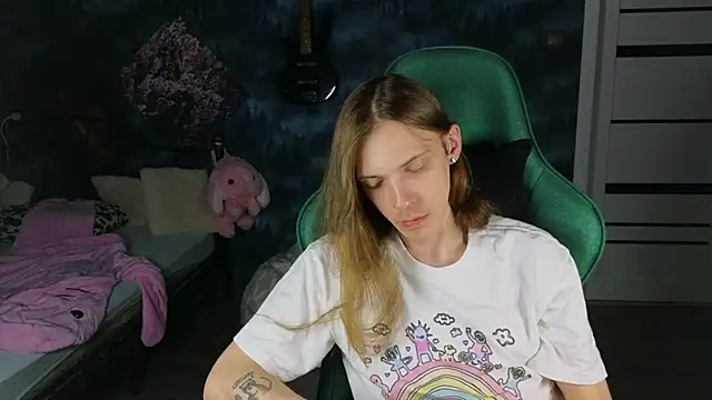 artass2 webcam