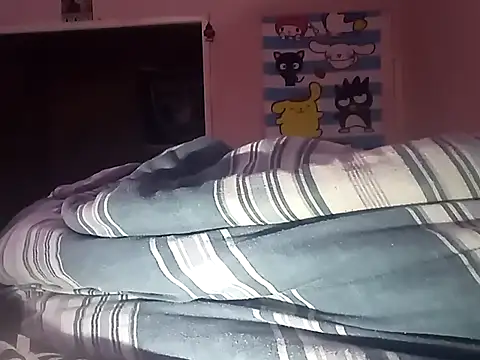 Blkstylion webcam