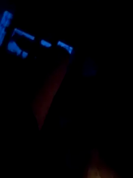 lehpl webcam