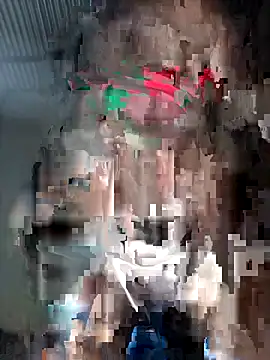 Cute_cate webcam