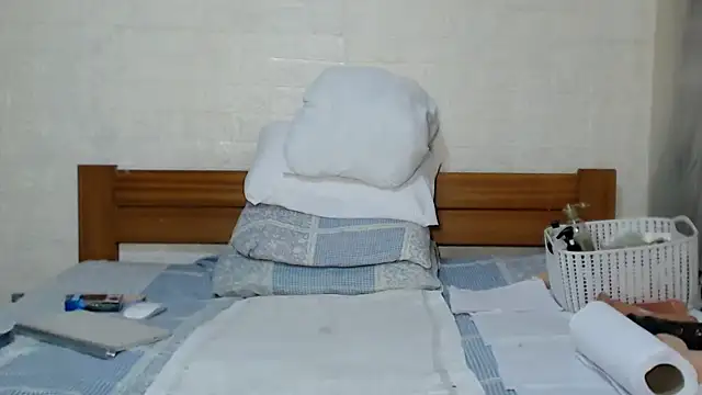 awild_kitten webcam