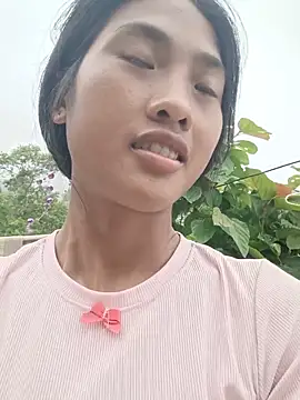 Hoa-tuylip live cam