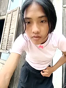 Hoa-tuylip live cam
