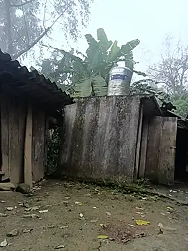 Hoa-tuylip webcam
