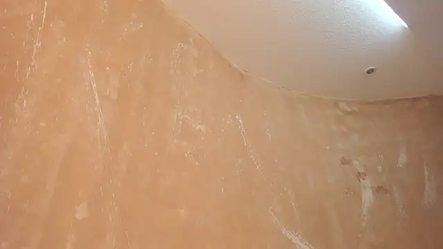APRILL_FOXX webcam
