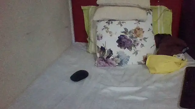 st206boy webcam