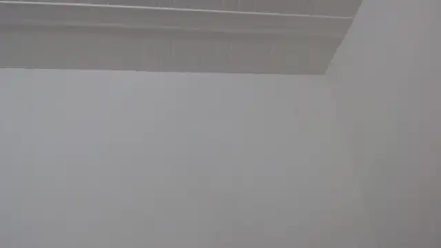ElizabethMiler webcam