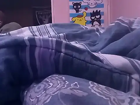 Blkstylion webcam
