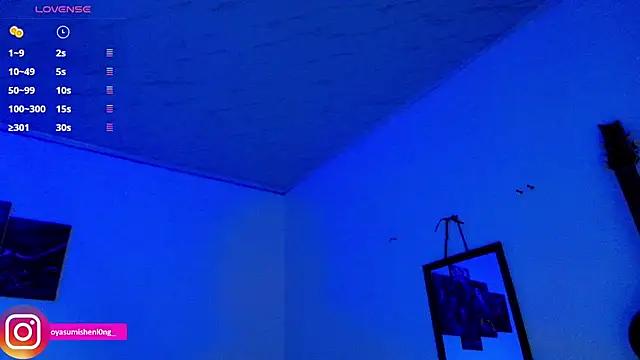 Nicorobinn webcam