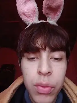 Misisipiboyarg