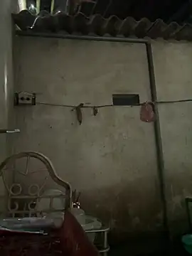 Aria_Maya webcam