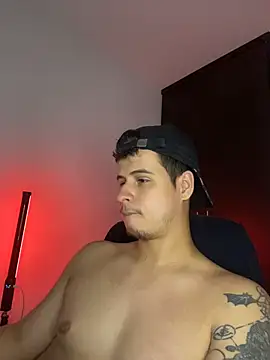 BjornSteel webcam