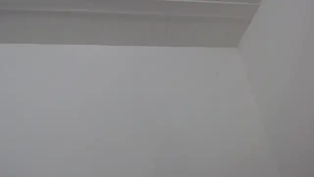 ElizabethMiler webcam