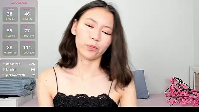 Kiraeko webcam