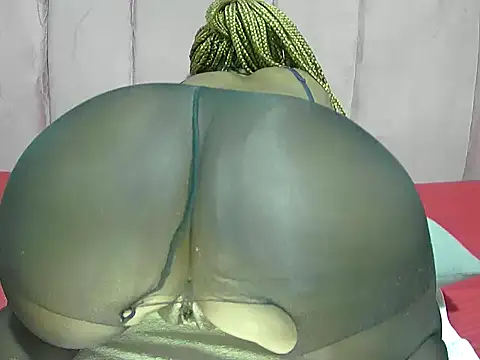 portiax webcam