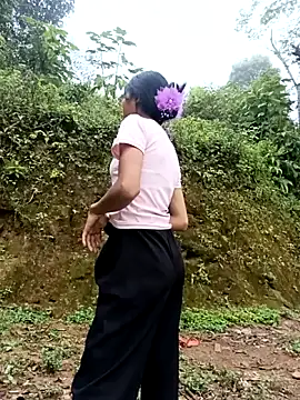 Hoa-tuylip webcam