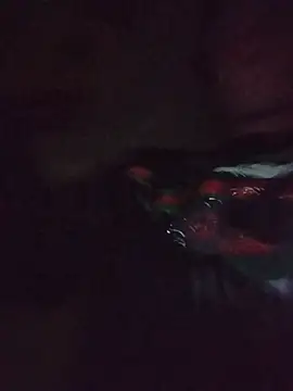Saiyantiki webcam