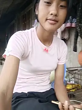 Hoa-tuylip webcam
