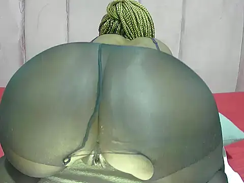 portiax webcam
