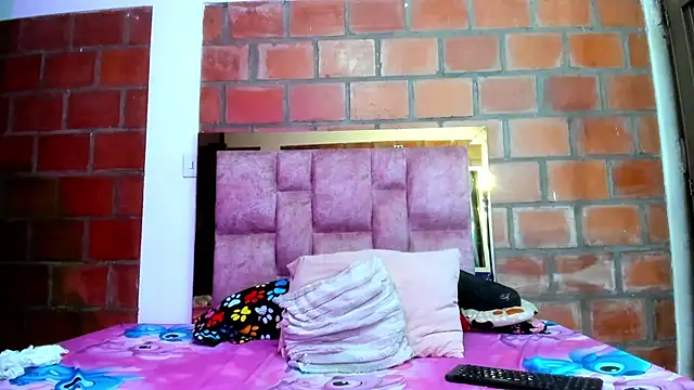 AkiraHeat webcam