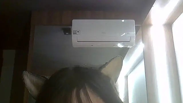 SkinnyKitten webcam