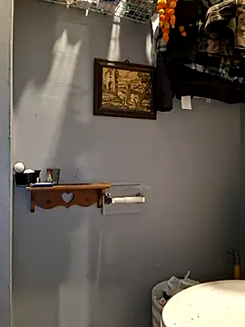 bimexpoexist webcam