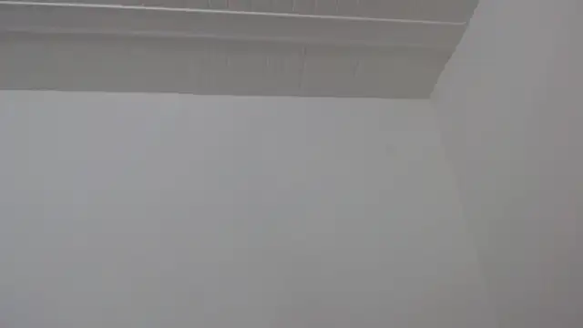 ElizabethMiler webcam