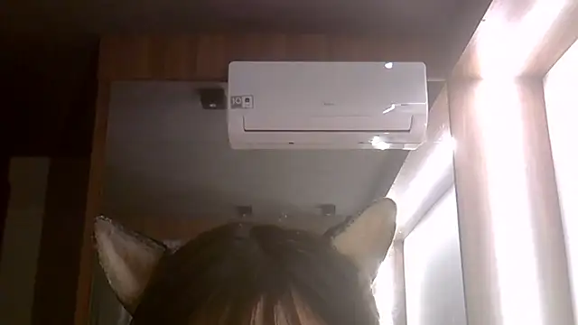 SkinnyKitten webcam