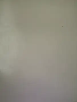 Werielove - Trans webcam sex chat
