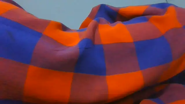 Cozybear webcam