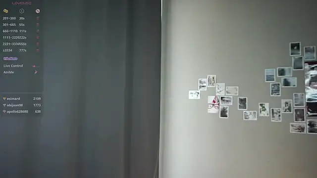 DellaLeck webcam