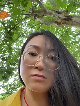 h-139431 webcam