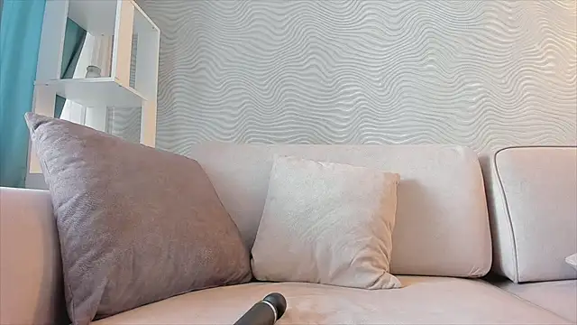 SageFrommer webcam