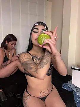 -Brittanny webcam