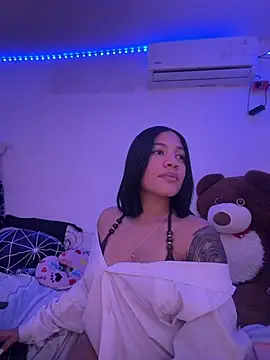 sienacros webcam