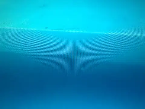 KiddycatX02 webcam