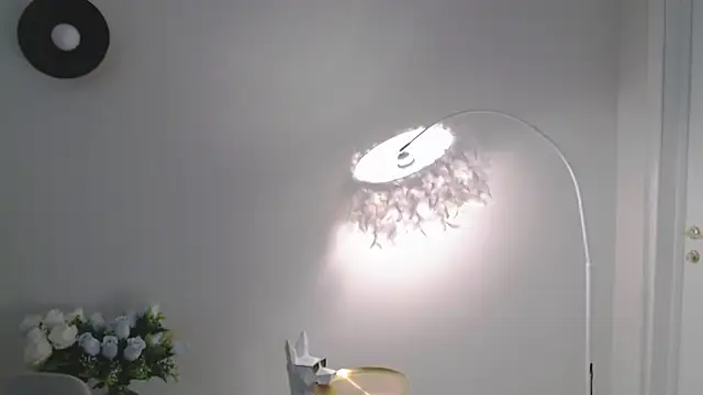 VeliaSai webcam