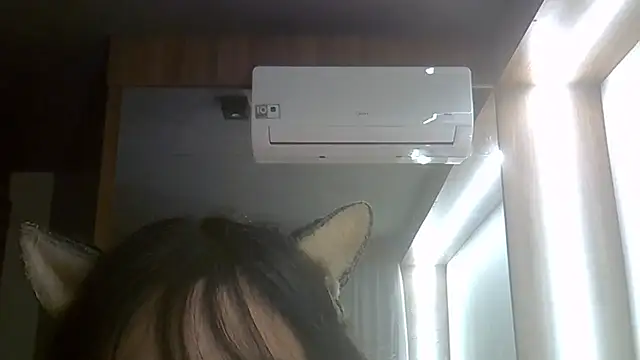 SkinnyKitten webcam