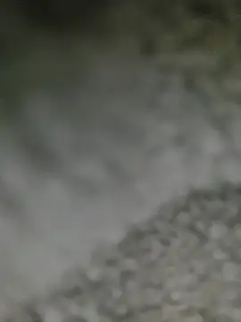 QcMisterv13
