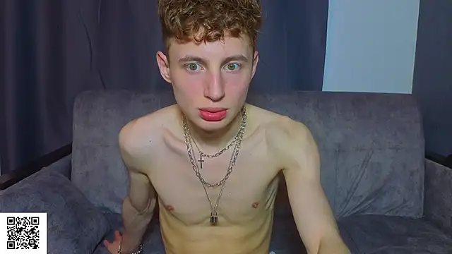 crispinver webcam