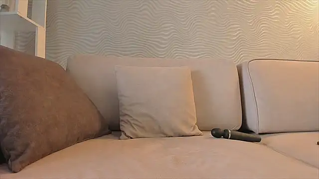SageFrommer webcam