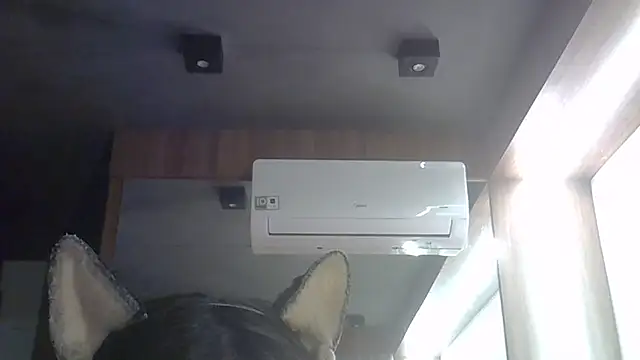 SkinnyKitten webcam