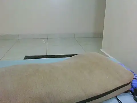 shugabaibe webcam