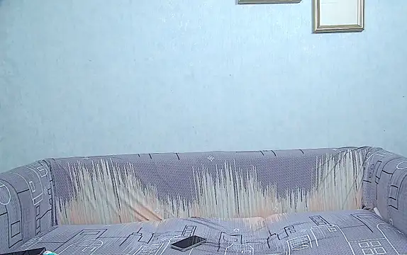 HY-SKY webcam