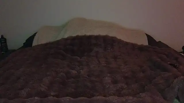 TheBustyHouseWife
