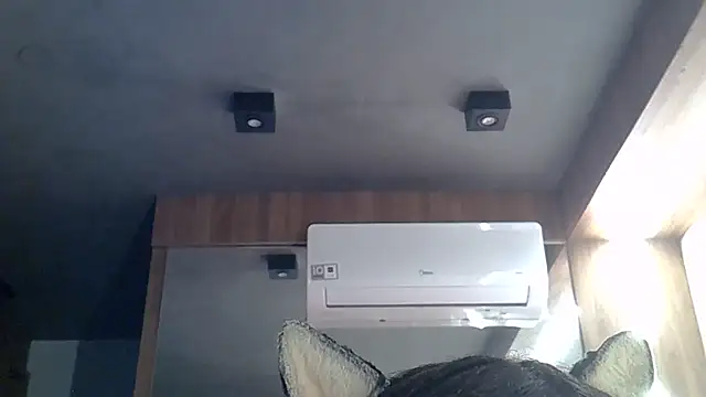 SkinnyKitten webcam