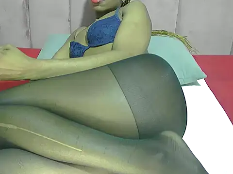 portiax webcam